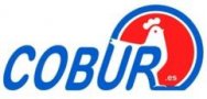 {{company.logoTitle}}