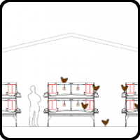 Sistema Aviario para gallinas ponedoras Combi