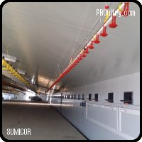 GRANJAS AVICOLAS
