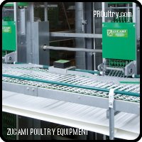 Sistema automático de recolección de huevos - Zucami