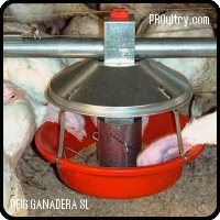 Comedero CHORE-TIME para pavos adultos ATF™ y ATF™ Plus