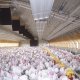 PROYECTO COMPLETO DE PAVOS