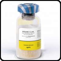 ZOETIS SPAIN - Poulvac E. coli