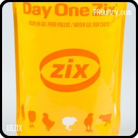 BBZIX - Day One Zix®