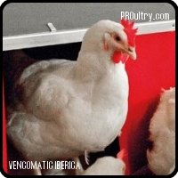 VENCOMATIC IBÉRICA - Ponedero GRANDO NEST