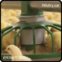 feeding system for broilers