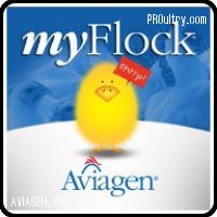 aviagen_myflock_1.JPG