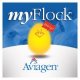 AVIAGEN - aviagen_myflock_1.JPG