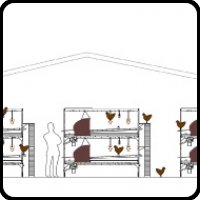 Sistema Aviario para gallinas ponedoras Loggia