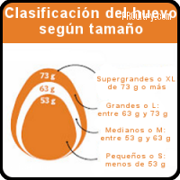 Huevo de calibración para clasificadoras de huevos
