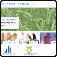 Probioticos para avicultura de CHR HANSEN