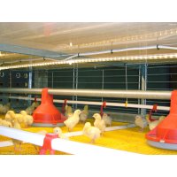 Jansen Poultry Equipment - BROMAXX® BROILER COLONY SYSTEM
