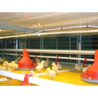 BROMAXX® BROILER COLONY SYSTEM