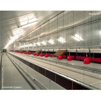Jansen Poultry Equipment - COMFORT 3® AVIARY SYSTEM