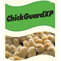 Chick_guard.JPG