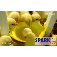 SPARKcup