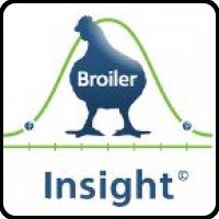 Broiler-Insight