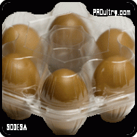 Envases y estuches para huevos de Sodesa