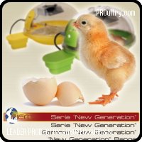 Incubadoras para huevos gama pequeña y mediana Fiem