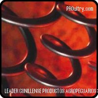 LEADER CUNILLENSE - MUELLE FLEXIBLE SinFin (Rosca helicoidal)