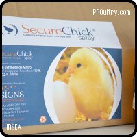 SIGNS SecureChick
