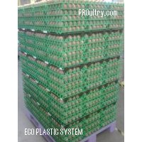 ECO PLASTIC SYSTEM - Egg tray dividers - ECO PLASTIC SYSTEM