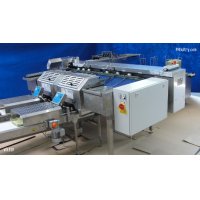 Egg grading machine with automatic packing lines - Völker