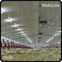  Poultry and Pig Housing Systems - Systeel