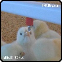 IVEGA DOTEX S.A. - BEBEDERO NIPPLE O TETINA PARA POLLOS Y PARA JAULAS DE GALLINAS PONEDORAS