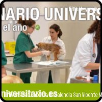 Grado en Veterinaria de la Universidad Católica de Valencia