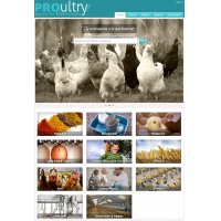 Avicultura PROultry.com avicultura para profesionales