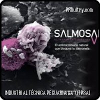 INDUSTRIAL TECNICA PECUARIA SA (ITPSA) - SALMOSAN