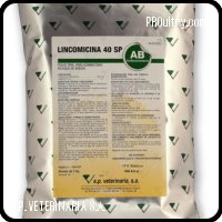 ENTERITIS-LINCOMICINA 40 SP
