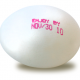 DOMINO - egg_000-1-.png