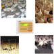 OPTICON AGRI SYSTEMS - DWS_20.PNG