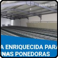 jaula_enriquecida_para_gallinas_ponedoras_desait.JPG