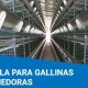 DESAIT - jaula_para_gallinas_ponedoras_desait.JPG