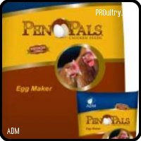 ADM - Pen Pals Egg Maker Complete