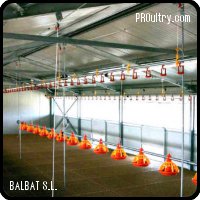 BALBAT S.L. - Nave móvil para broiler ecológico