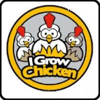 I grow Chicken