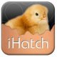 desarrollador genérico de apps - ihatch_chicken1.JPG