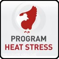 Program Heat stress Poultry