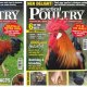 Practical Poultry Magazine - Practical_Poultry_Magazine_App.JPG