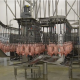 Dutch Poultry Technology - ev.png