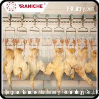 Qingdao Raniche Machinery Technology Co.,Ltd - 300BPH to 10000BPH Poultry Duck Slaughtering Processing Equipment for Slaughterh