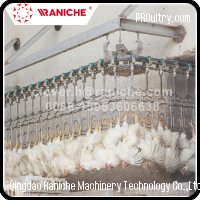 Qingdao Raniche Machinery Technology Co.,Ltd - 300 a 12000 BPH Matadero de aves de corral Máquina para sacrificio de pollos