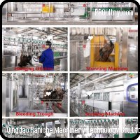 Qingdao Raniche Machinery Technology Co.,Ltd - Línea de sacrificio de pollos compacta Raniche 300BPH 500BPH 800BPH 1000BPH Mata