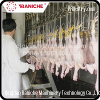 300 to 12000 BPH Poultry Slaughterhouse Chicken Slaughtering Line Machine