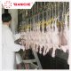 Qingdao Raniche Machinery Technology Co.,Ltd - chicken_slaughtering_machine_3_.jpg