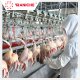Qingdao Raniche Machinery Technology Co.,Ltd - chicken_slaughtering_machine_4_.jpg